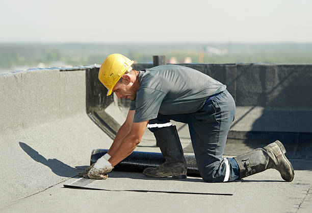 Best Attic Insulation Installation  in Piggott, AR