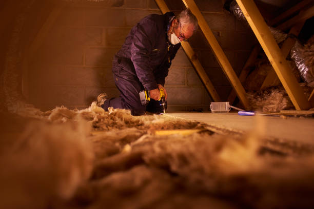 Best Attic Insulation Installation  in Piggott, AR